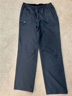 Patagonia Men's French Roast Pants L